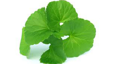 GOTU KOLA